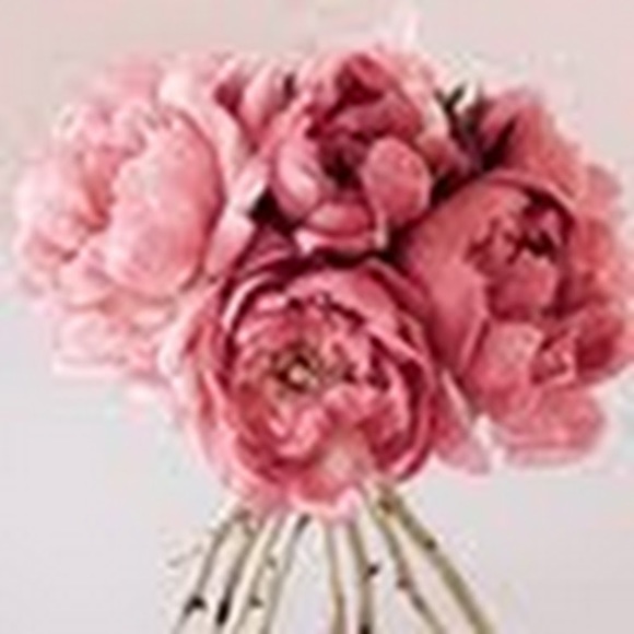 Meet your Posher, Habibah - Picture 1 of 1